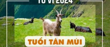 Xem tử vi tuổi Tân Mùi 1991 - Nam mạng năm 2024 CHI TIẾT NHẤT