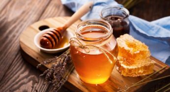 Gợi ý những cách làm hết sưng khi bị ong đốt