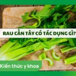 Rau cần tây có tác dụng gì? 19 lợi ích và các lưu ý khi dùng cần tây