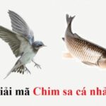 'Chim sa tận nơi không bắt, cá nhảy tận bờ không ăn' là vì sao?