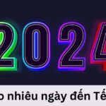 Còn bao nhiêu ngày nữa đến Tết Nguyên Đán 2024? Cùng đếm ngược nhé!