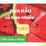 Dưa hấu bao nhiêu calo? Ăn dưa hấu có béo không và lưu ý khi ăn