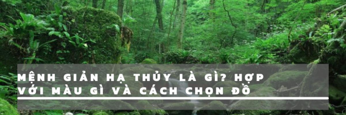 giản hạ thủy là gì