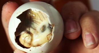 Luộc trứng vịt lộn bao nhiêu phút để có món ngon đúng chuẩn?
