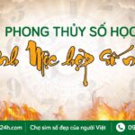 Phong Thủy Số Học: Mệnh Mộc hợp số nào? Khám phá những con số tốt nhất