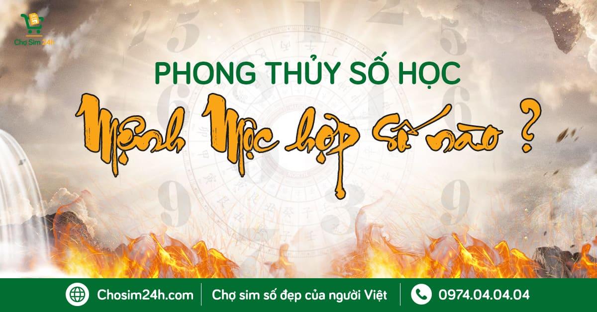 mệnh mộc hợp số nào