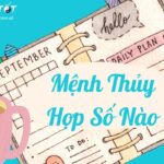 Mệnh Thủy hợp số nào để làm ăn thuận lợi, sự nghiệp lên như diều gặp gió?