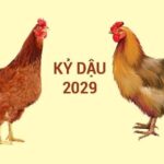 2029 là năm con gì? Người sinh năm 2029 thuộc mệnh và cung nào? Tính cách ra sao?