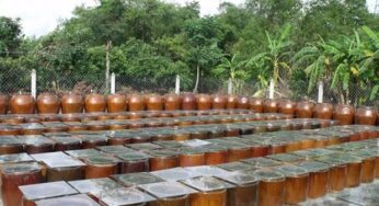 CÔNG DỤNG ĐẶC BIỆT CỦA NƯỚC TƯƠNG TAMARI