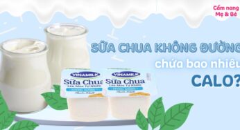 Sữa chua không đường chứa bao nhiêu calo? Ăn có béo không