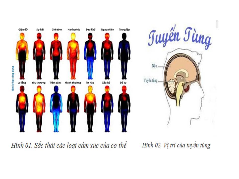 tần số năng lượng vũ trụ