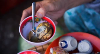 Trứng vịt lộn bao nhiêu calo? Ăn trứng vịt lộn có tốt không?