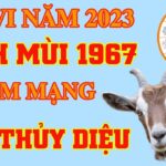 Tử vi tuổi Đinh Mùi 1967 nam mạng năm 2023 công việc phát triển, sức khỏe không tốt