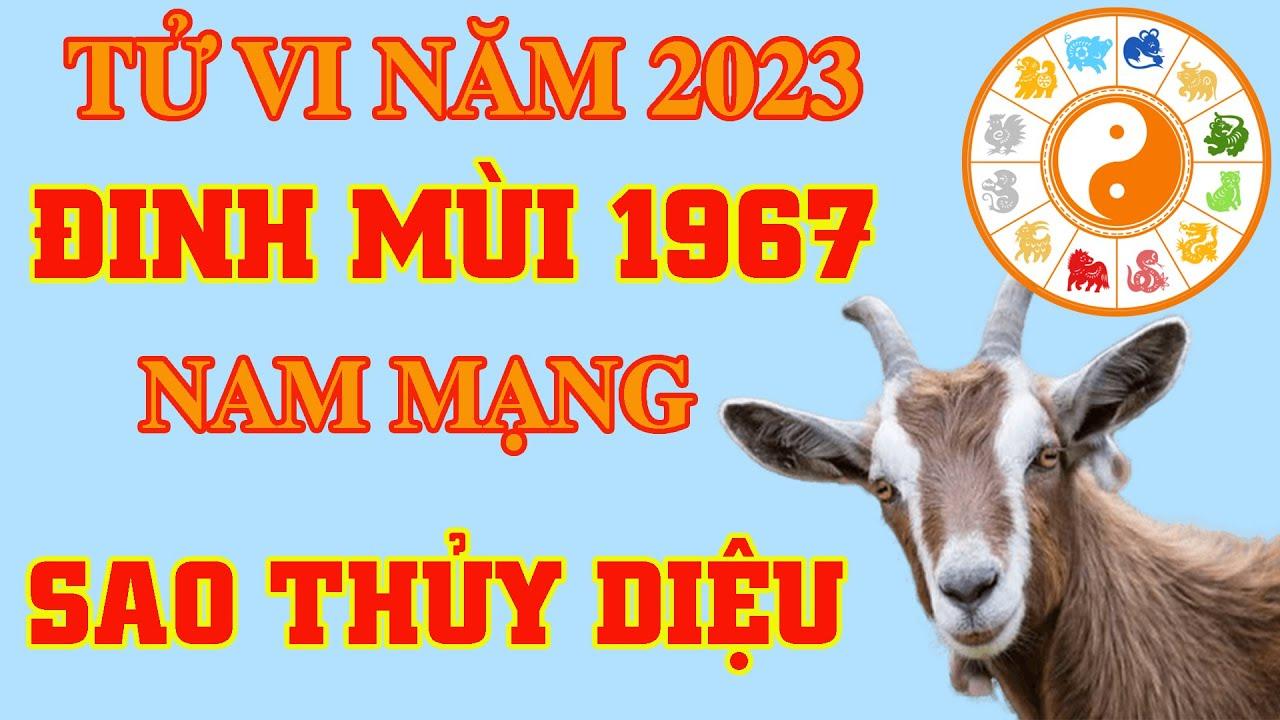 tử vi đinh mùi 2023