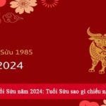 Vận hạn tuổi Sửu năm 2024: Tuổi Sửu sao gì chiếu năm 2024?